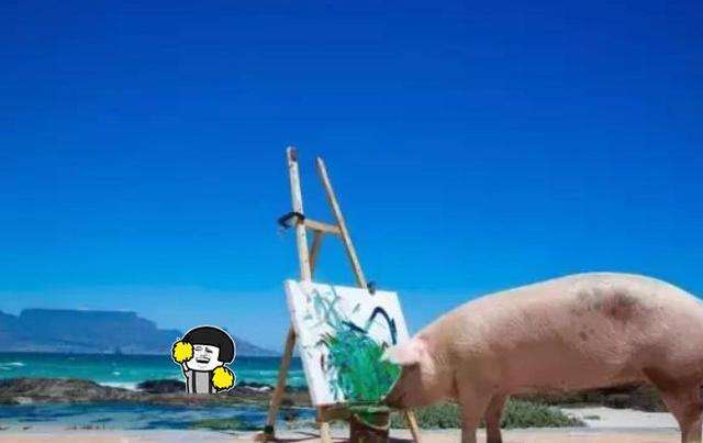  万卓索娃顽强救盘点拖入长盘决胜负